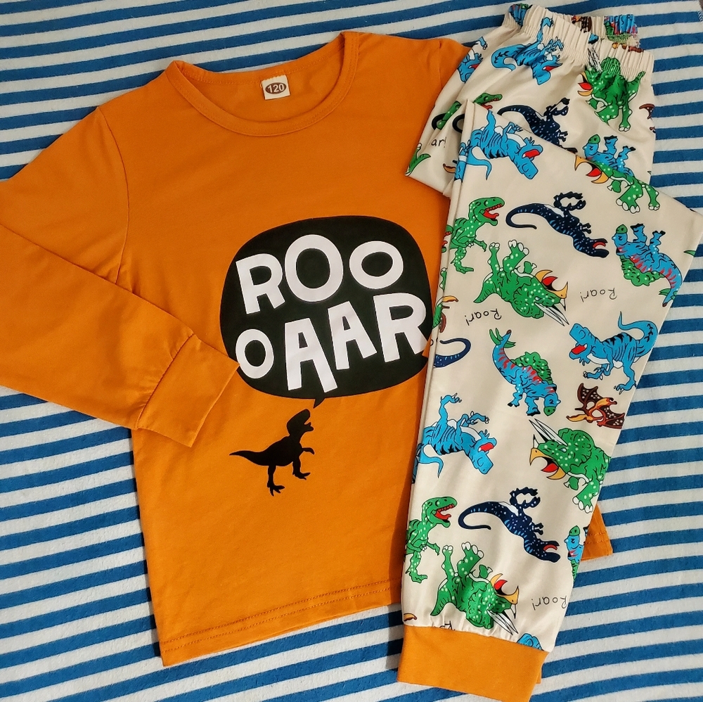 NWOT Boys Dinosaur Pajama set